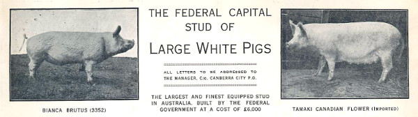 Hog Farm Letterhead 1929