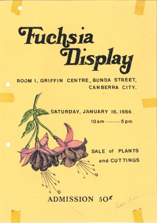 advertising - Fuschia Display