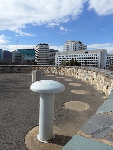 Talking Toadstool at City Hill Lookout