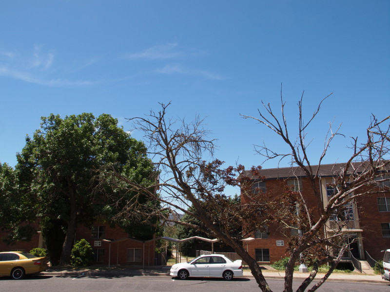 View to Giles Street in 2015