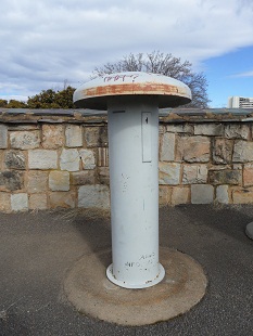 Talking Toadstool at City Hill Lookout