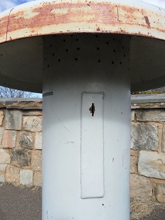 Talking Toadstool at City Hill Lookout